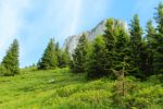 2014-07-05_Laengental-N-Hochweg (743). JPG
